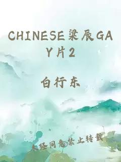 CHINESE梁辰GAY片2