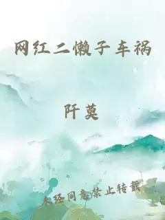 网红二懒子车祸