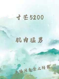 寸芒5200