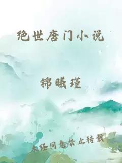 绝世唐门小说