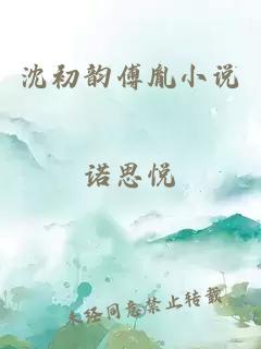 沈初韵傅胤小说