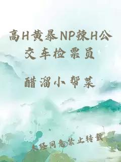 高H黄暴NP辣H公交车检票员