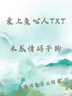 爱上负心人TXT