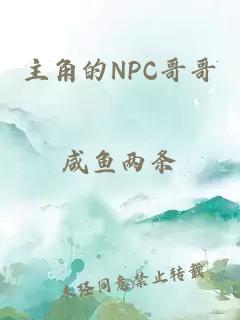 主角的NPC哥哥