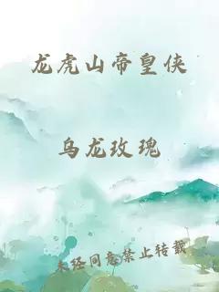 龙虎山帝皇侠