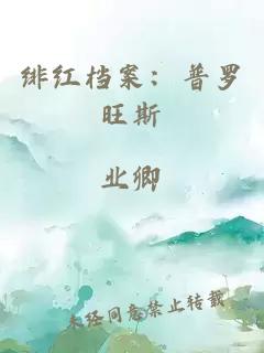 绯红档案：普罗旺斯