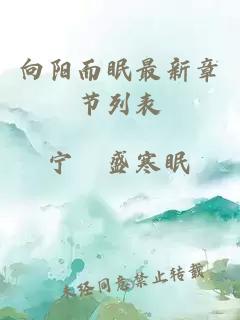 向阳而眠最新章节列表