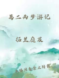 葛二两梦游记