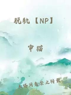 脱轨【NP】