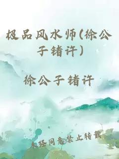 极品风水师(徐公子锗许)