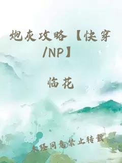 炮灰攻略【快穿/NP】