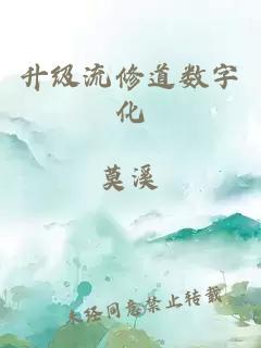 升级流修道数字化