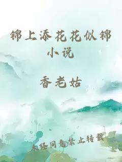 锦上添花花似锦小说