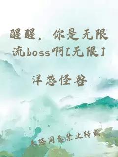 醒醒，你是无限流boss啊[无限]