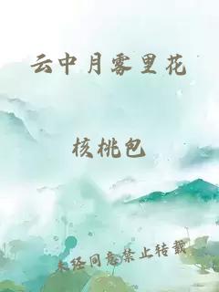 云中月雾里花