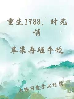 重生1988，时光俏