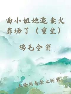 曲小姐她追妻火葬场了（重生）