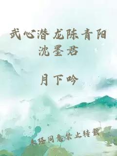 武心潜龙陈青阳沈墨君