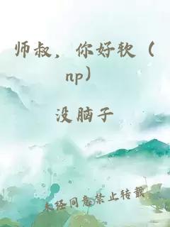 师叔，你好软（np）