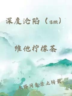 深度沦陷（sm）